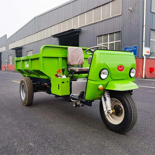 Electric cargo tricycle