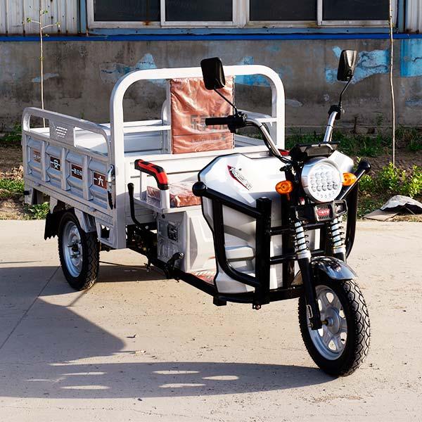 Electric Tricycle