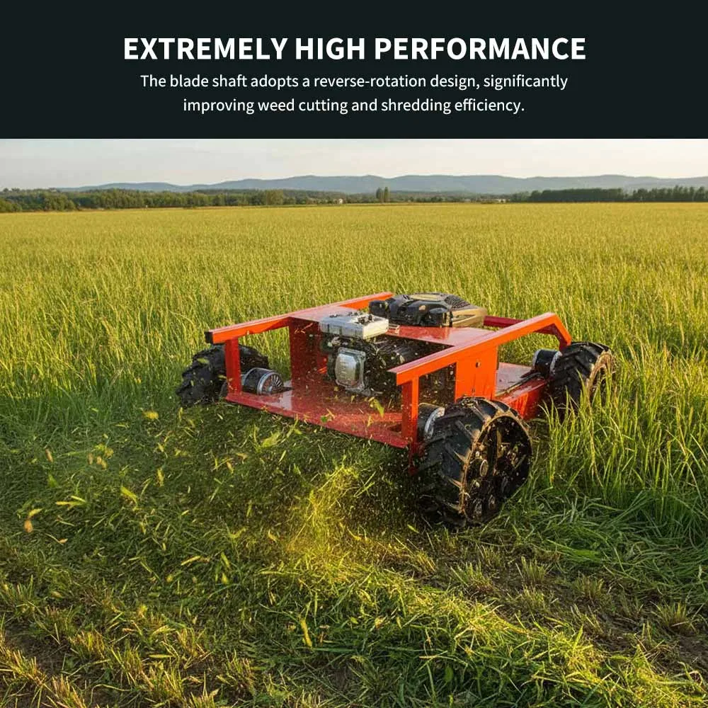 Lawn Mower-QL500F (6)