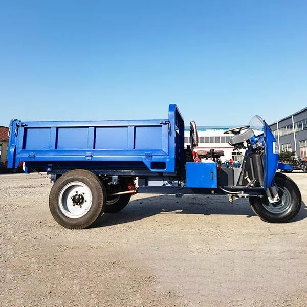 Electric cargo tricycle